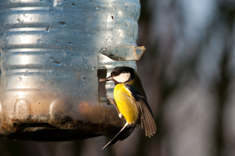 Comprehensive Guide to Home Waste Prevention